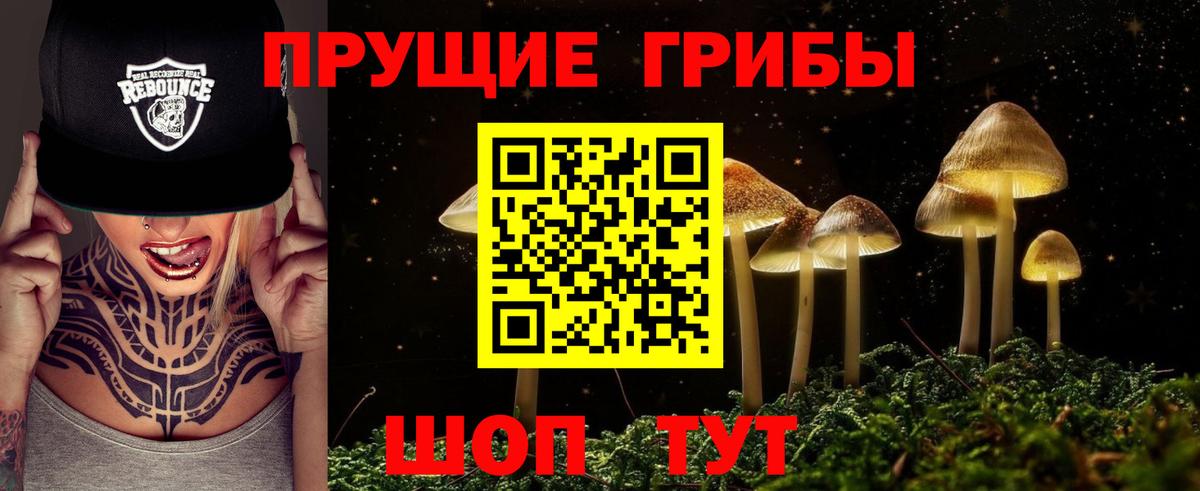 Псилоцибиновые грибы GOLDEN TEACHER  Вход с VPN  Арсеньев 